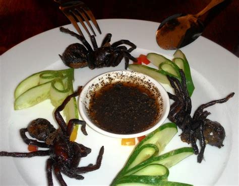 Spice up Your Palette: Exploring the World of Spide Magic Indian Cuisine